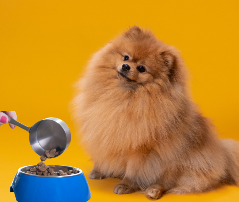 nutra complete dog food
