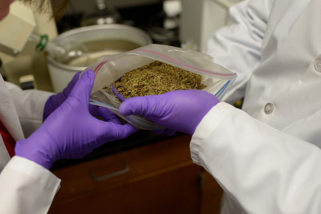 Why Lab Tested Kratom Is Safer and More Reliable: A Closer Look at Lab Tested Kratom Canada