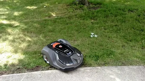 Top 10 Auto Mowers for a Perfect Lawn in 2025