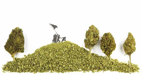 West Coast Weed: Exploring the Culture, Quality, and Craft Behind the Best Cannabis