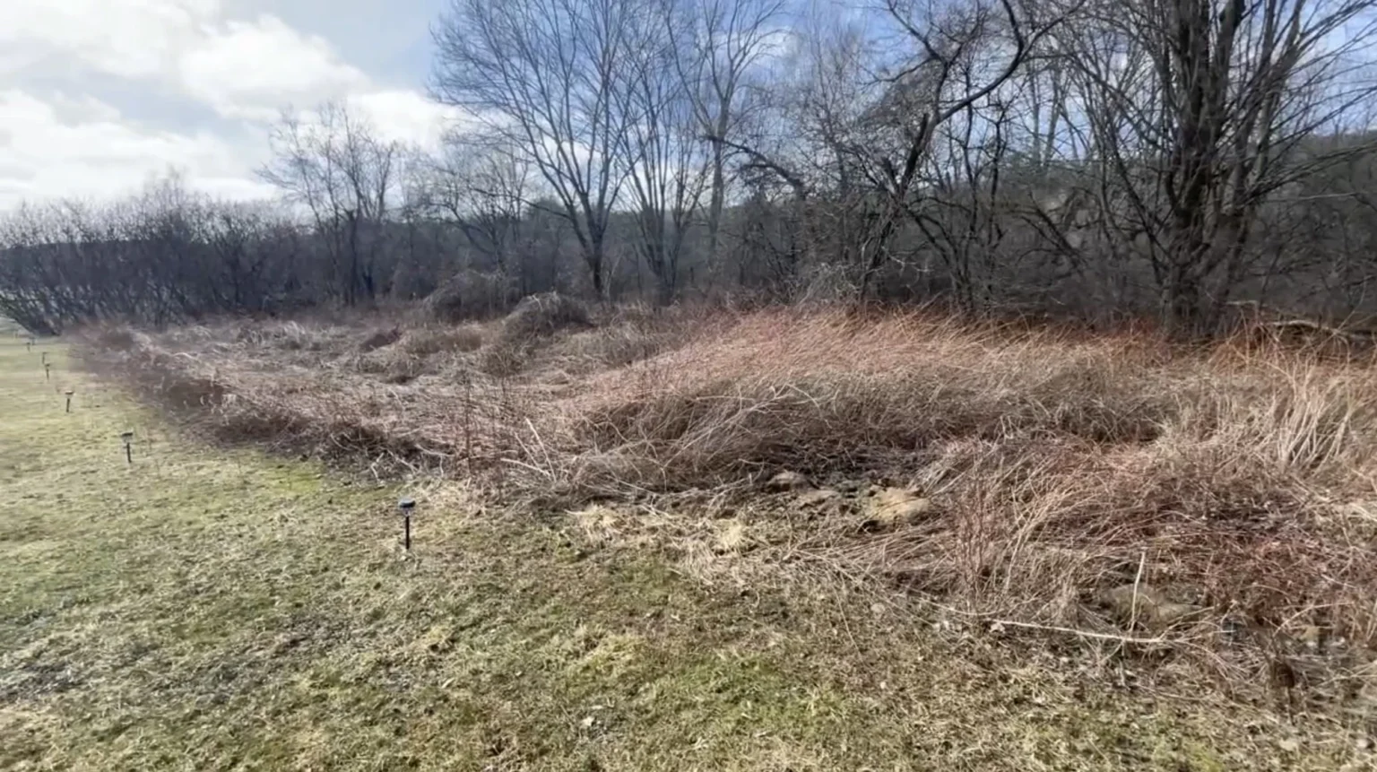 How to Clear Land Cheap Without Heavy Machinery: Smart, Budget-Friendly Methods
