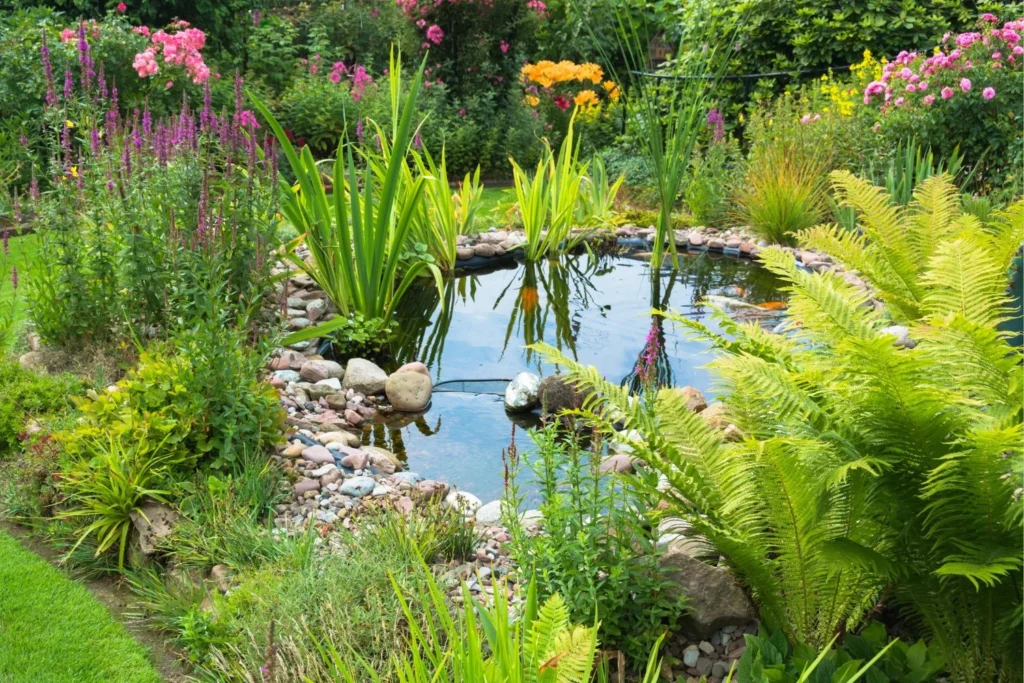 How to Choose the Right Pond Plants for Your Outdoor Space