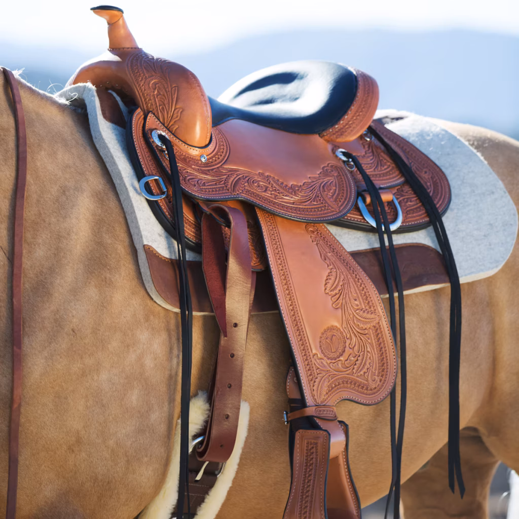 How to Choose a Western Saddle for Comfort, Fit, and Riding Purpose
